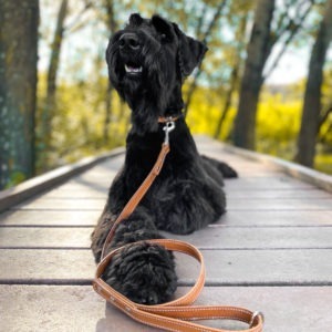 LEATHER RANGE | CLASSIC LEASH