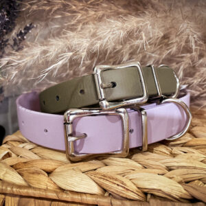 ELEMENTS COLLECTION | COLLAR
