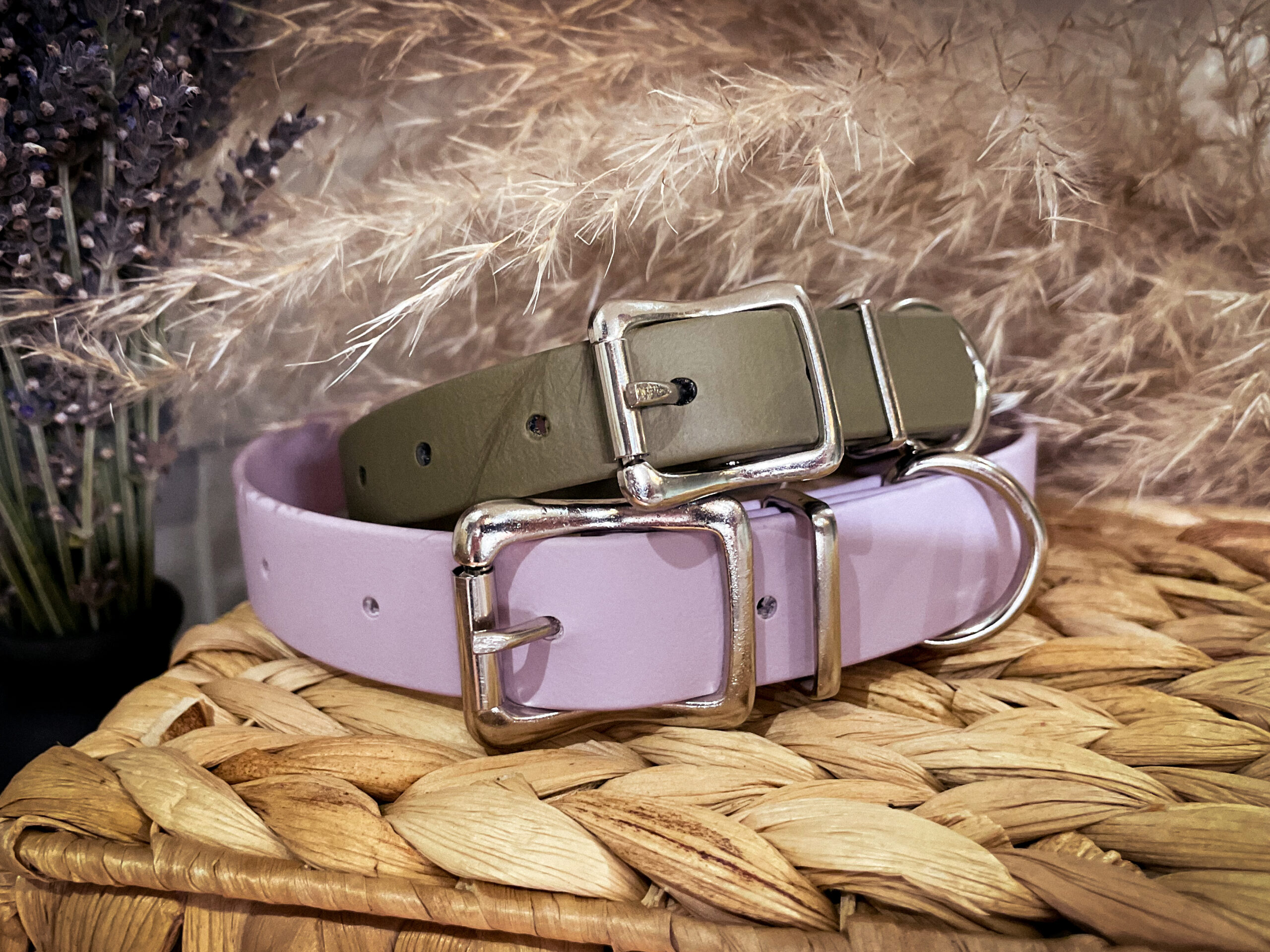 ELEMENTS COLLECTION | COLLAR